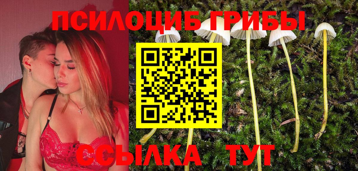 Псилоцибиновые грибы Cubensis  хочу   Шарыпово  Вход с VPN  Псилоцибиновые грибы мухоморы 